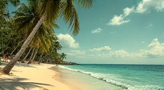 Beyond the Beach: Understanding Shell Origins and Geographic Distribution in Vintage Collections