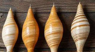 Unlocking the Secrets of the Auger Shell: Types and Characteristics