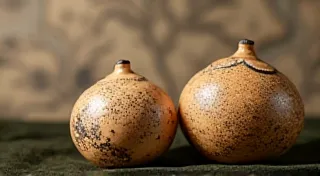 The Mystery of the Olive Shell: History, Value, and Identification
